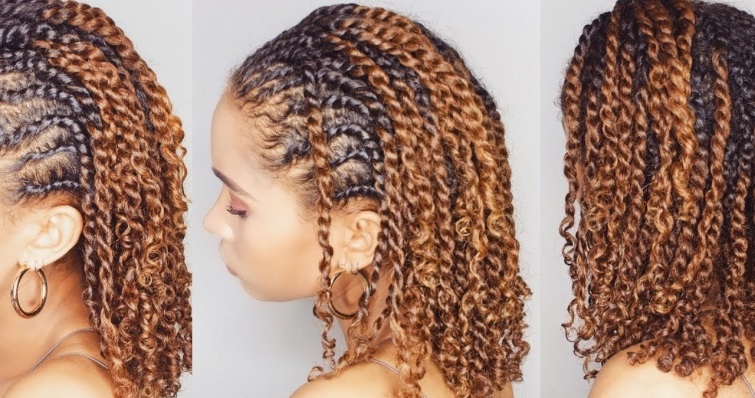 Protective Style For Natural Hair3